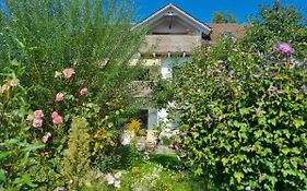 Traumhafte Gartenwohnung in Überlinger Hanglage - Zur goldenen Kiwi